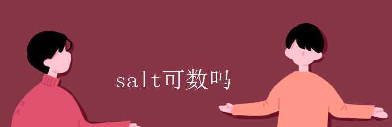 salt的形容詞 salt可數(shù)嗎