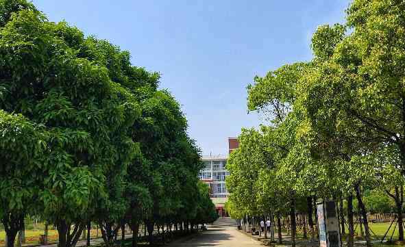 武漢科技大學(xué)城市學(xué)院怎么樣 武漢科技大學(xué)城市學(xué)院是幾本（本科專業(yè)+?？茖I(yè)有哪些）