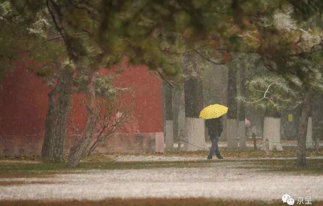 初雪已至 多圖直擊白雪下的北京城