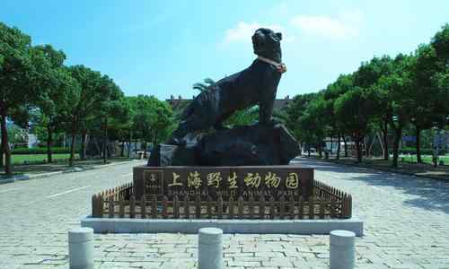 動物園飼養(yǎng)員 野生動物園飼養(yǎng)員遭熊攻擊身亡 園方回應(yīng)說了什么？到底發(fā)生什么？