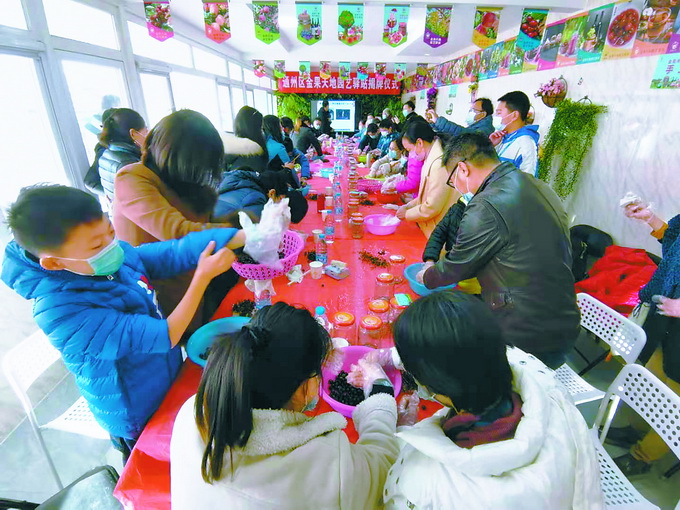 自釀葡萄酒 自制蘋果干兒……北京首家“果味兒”園藝驛站落戶通州