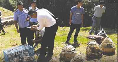 小熊貓家園45元 瀕危動物上餐桌 一起命案牽出的買賣野生動物大案