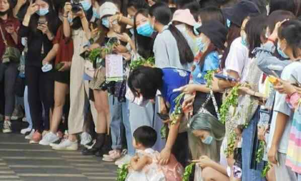 王一博粉絲叫什么 王一博粉絲拿香菜應(yīng)援什么情況？終于真相了，原來是這樣！