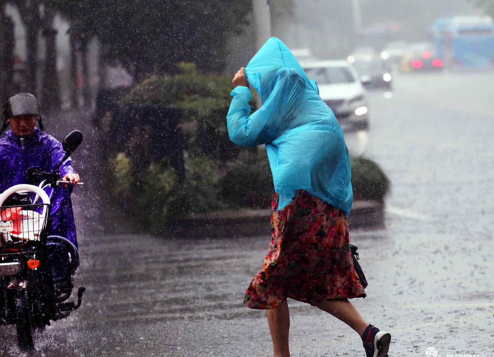 南京臺(tái)風(fēng) 臺(tái)風(fēng)“美莎克”來(lái)襲 南京暴雨傾盆送“清涼”