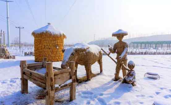 華中小鎮(zhèn)白石山居業(yè)主文苑 | 我愛你 小鎮(zhèn)的雪