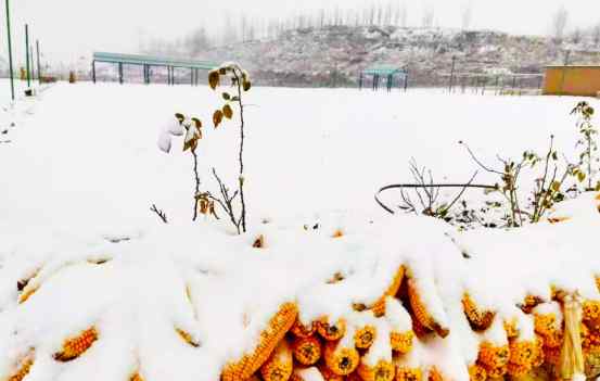 華中小鎮(zhèn)白石山居業(yè)主文苑 | 我愛你 小鎮(zhèn)的雪