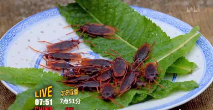 “武則天”吃蟑螂、竹鼠？澳兒童頻道播丑化中國(guó)人節(jié)目 澳華人怒了