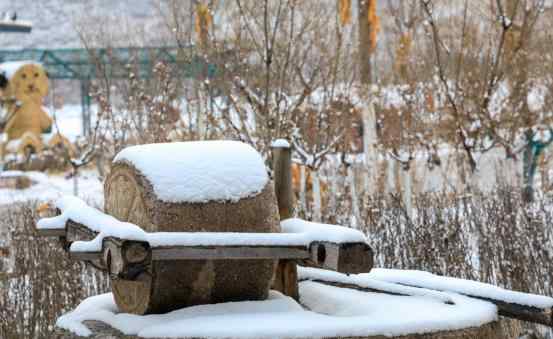 華中小鎮(zhèn)白石山居業(yè)主文苑 | 我愛你 小鎮(zhèn)的雪