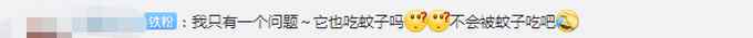 四川發(fā)現(xiàn)世界已知最小蜻蜓 體長不足15毫米 網(wǎng)友調(diào)侃：這是蚊子吧