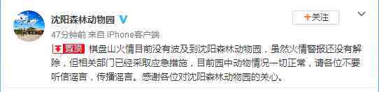 沈陽大火燒死3000人 沈陽棋盤山大火肇事者被拘 動物園被燒等都系謠言