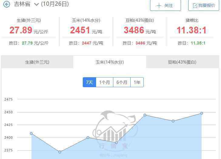 東北玉米最新價格 東北玉米最新價格多少，東北玉米產(chǎn)量每畝多少斤