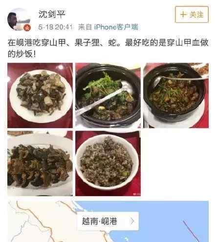 穿山甲怎么吃 節(jié)操在哪？食用穿山甲被解聘 以為跑到國外去吃就不會(huì)被追究？