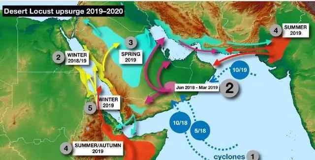 蝗蟲(chóng)的壽命 場(chǎng)面恐怖！千億蝗災(zāi)蔓延非亞是怎么回事？這些可怕的蝗蟲(chóng)會(huì)來(lái)中國(guó)嗎？
