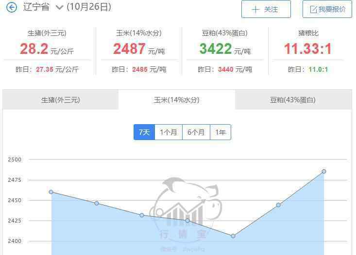 東北玉米最新價格 東北玉米最新價格多少，東北玉米產(chǎn)量每畝多少斤