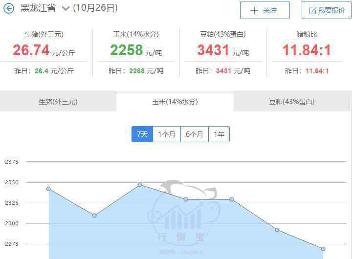 東北玉米最新價格 東北玉米最新價格多少，東北玉米產(chǎn)量每畝多少斤