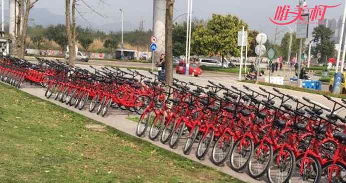 悟空單車 首家共享單車倒閉 悟空單車倒閉原因竟是這個(gè)