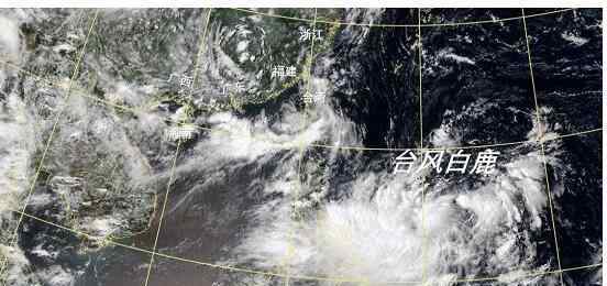 11號臺風白鹿 【臺風白鹿路徑】第11號臺風“白鹿”預(yù)計將登陸 這些地區(qū)做好防范