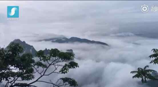 曉看天幕看云 一場(chǎng)夜雨過(guò)后天門(mén)山成仙境！天門(mén)山云海云瀑奇觀 如天幕下幔