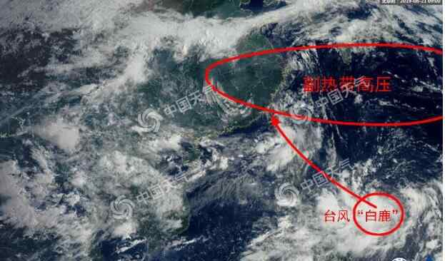 臺(tái)風(fēng)海燕最新消息 臺(tái)風(fēng)實(shí)時(shí)路徑發(fā)布系統(tǒng):11號(hào)臺(tái)風(fēng)白鹿最新消息 “白鹿”前世是臺(tái)風(fēng)“海燕”