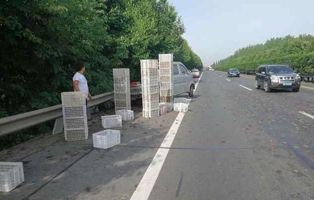 小龍蝦百慕大翻車 神奇！小龍蝦百慕大翻車 貨車在此總是難逃厄運 蝦也被壓成“蝦餅”