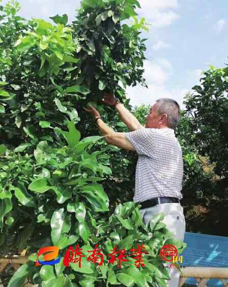 家國(guó)悲慟油畫 家是最小國(guó) 國(guó)是千萬(wàn)家——記者聆聽小家庭的“家國(guó)情懷”