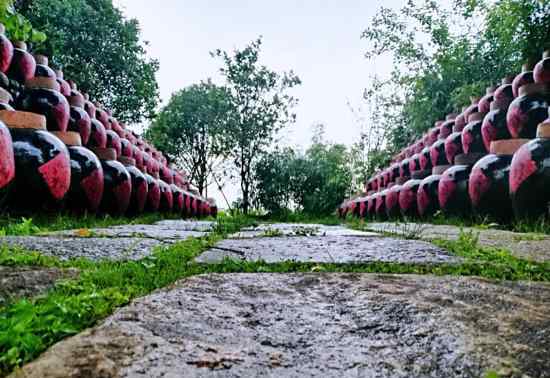 浦城旅游 舜網(wǎng)記者在浦城：工廠變景區(qū) 小蜜包酒醉游人