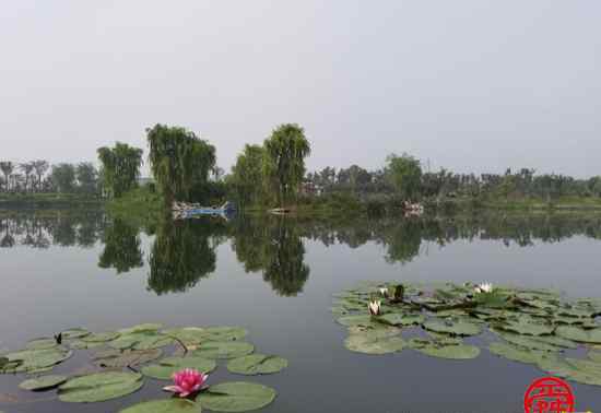 玉泉湖 “執(zhí)事敬、從來急”——玉泉湖公園之防汛安全篇