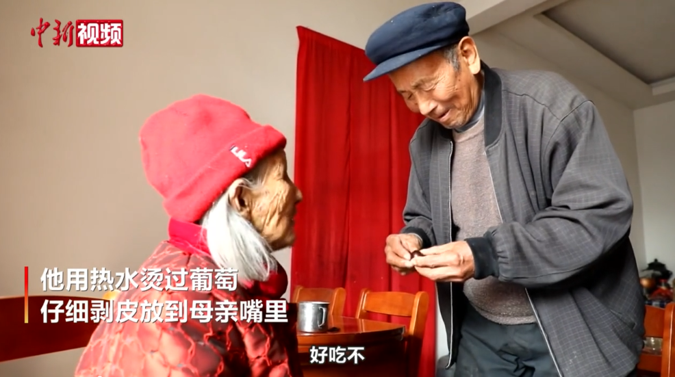 “我老了娘還在” 85歲兒子給111歲媽喂水果 網(wǎng)友感嘆：太羨慕！