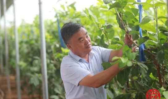 三黑 依托“三辣一麻”、“三黑一花”，萊蕪品牌農(nóng)產(chǎn)品叫響世界