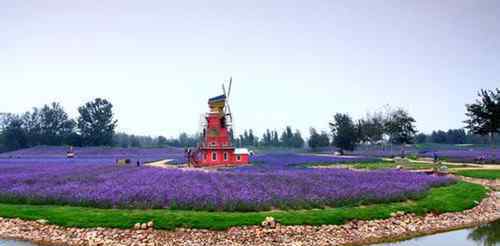 石家莊薰衣草莊園 石家莊婚紗照外景 這些景點總有一處適合你