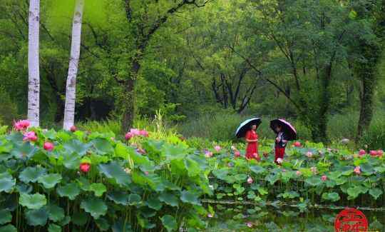 植物園野餐 賞花、野餐、納涼 這個(gè)假期濟(jì)南植物園陪您歡度端午