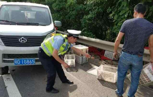 小龍蝦百慕大翻車 神奇！小龍蝦百慕大翻車 貨車在此總是難逃厄運 蝦也被壓成“蝦餅”