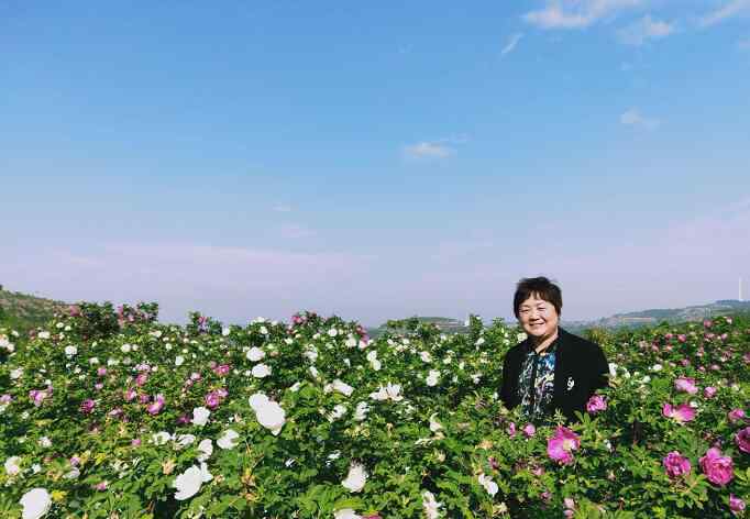 玫瑰花期 [濟(jì)南故事] 花農(nóng)唐華的15個(gè)玫瑰花期