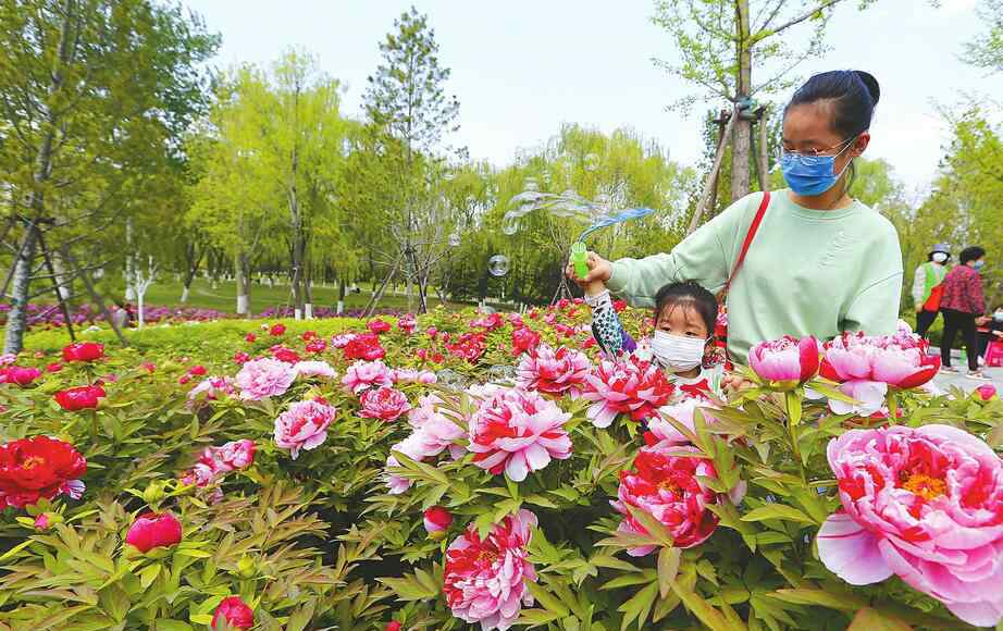 色人間閣 牡丹花開植物園 國色天香醉人間