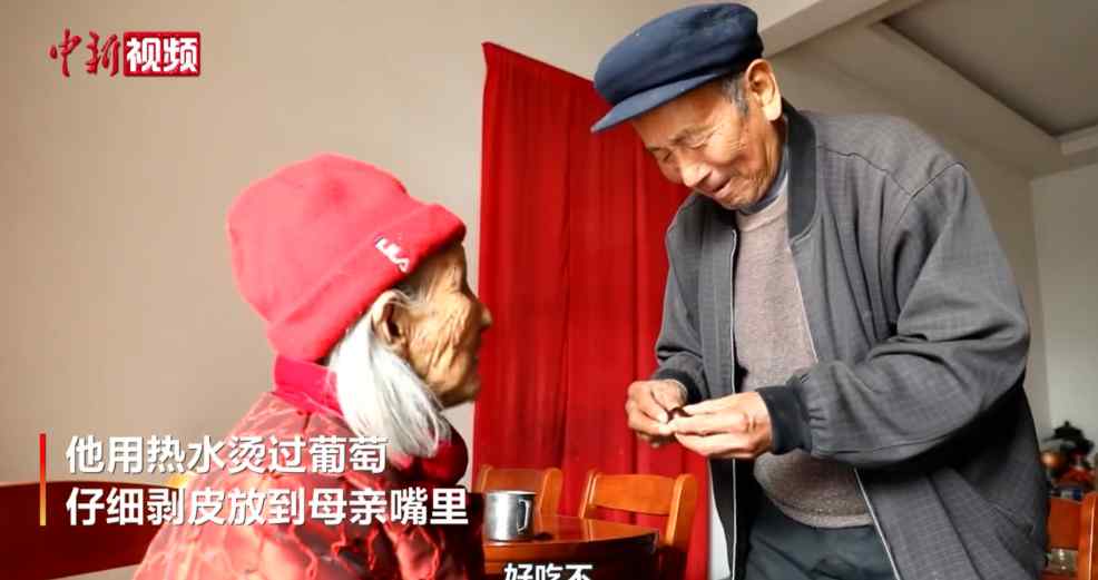 “我老了娘還在” 85歲兒子給111歲媽喂水果 網(wǎng)友感嘆：太羨慕！