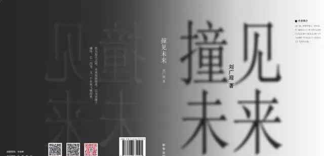 劉廣迎 未來(lái)的“我”會(huì)咋樣? 請(qǐng)看劉廣迎新著《撞見(jiàn)未來(lái)》