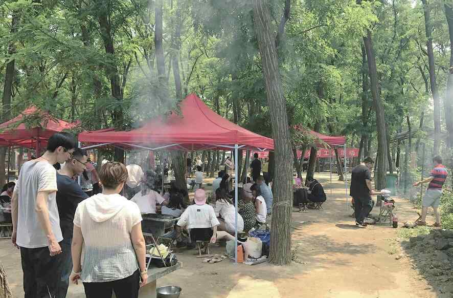 森林公園燒烤 濟南黃河森林公園大型露天燒烤任性 沒有人來管油煙這事兒