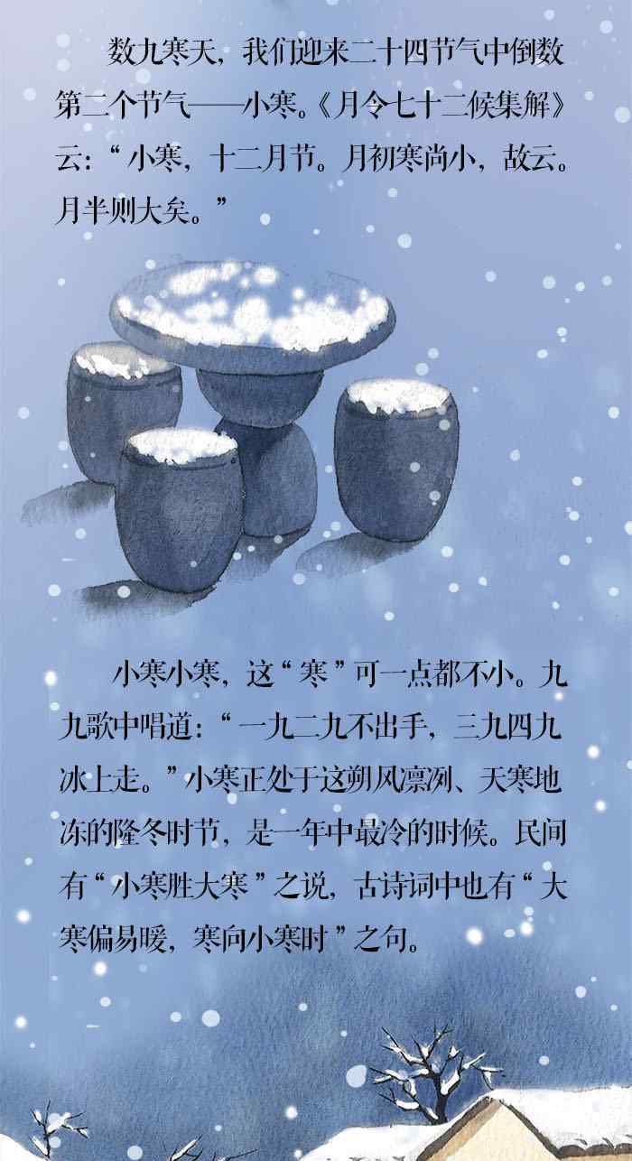 踏雪尋梅詩詞 小寒·長卷丨梅花先趁小寒開，到詩詞里踏雪尋梅