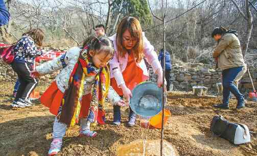 綠化樹木 南山綠化樹種不是簡單問題 植什么樹造什么林南山才更綠