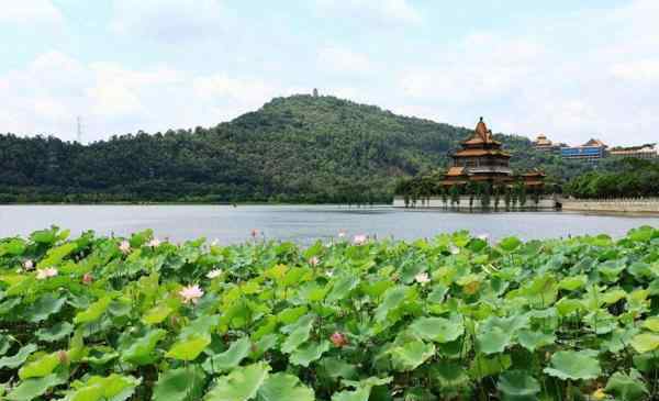 佛山順峰山公園 2020順峰山公園門票景點(diǎn)介紹及游玩攻略