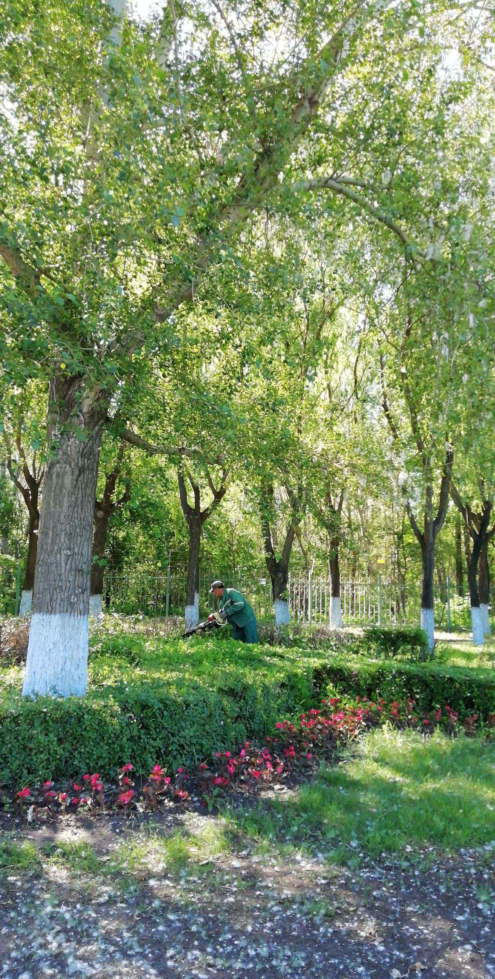 哈爾濱太陽島公園 美哉   太陽島風景區(qū)