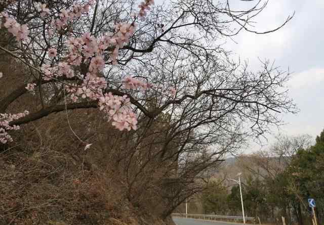 潭柘寺路線 潭柘寺騎行路線及攻略