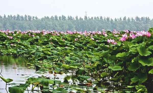 美麗湖泊垂釣 2020沈陽(yáng)仙子湖風(fēng)景度假區(qū)介紹 仙子湖垂釣-船票價(jià)格