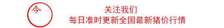 仔豬今日價(jià)格 今日全國(guó)仔豬價(jià)格！10公斤仔豬價(jià)格一覽表