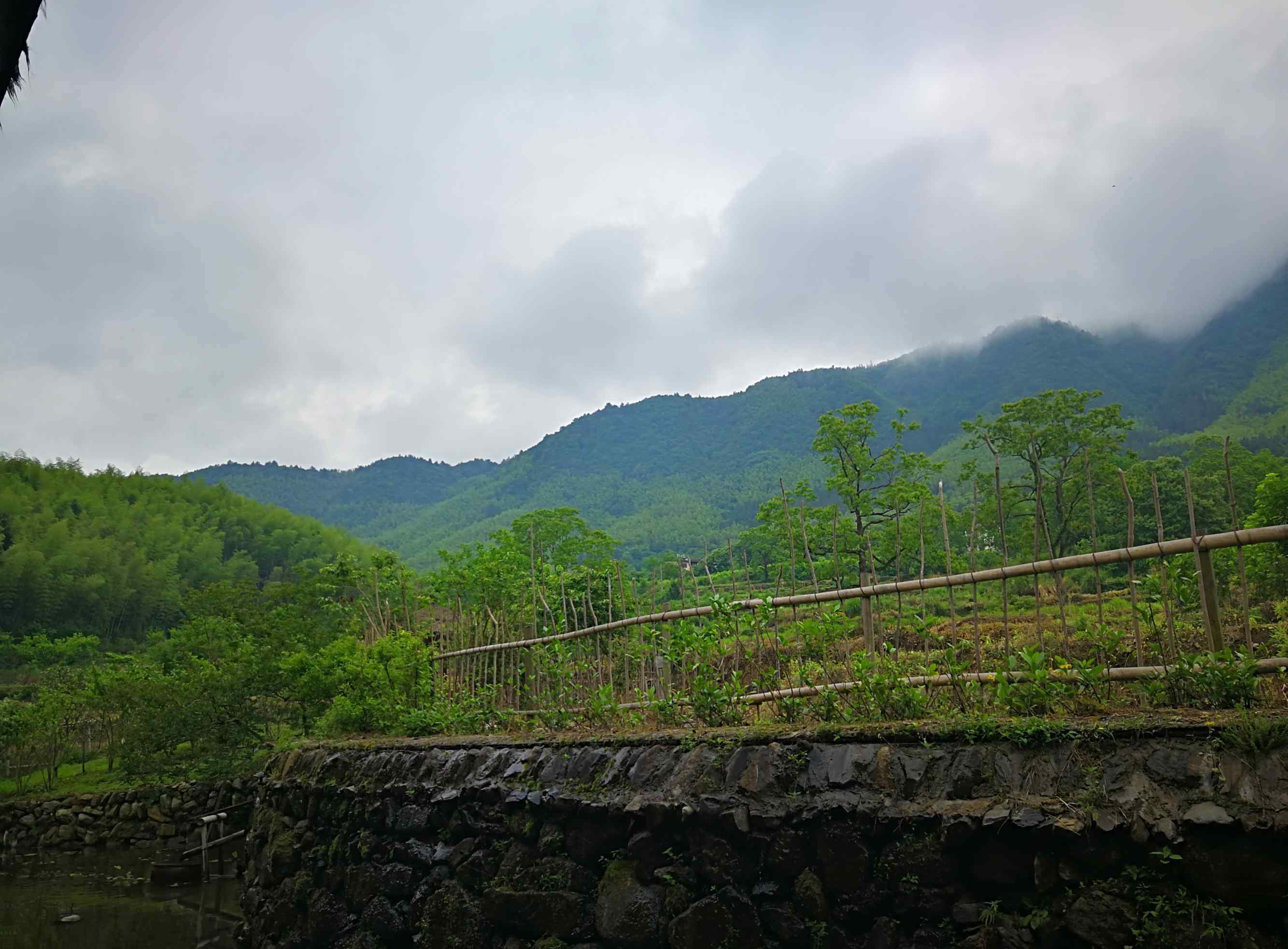 黟縣住宿 黟縣民宿