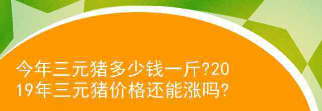 三元豬報(bào)價(jià) 今年三元豬多少錢一斤?2019年三元豬價(jià)格還能漲嗎?