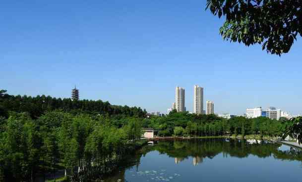 南海千燈湖公園 2020千燈湖公園門票地址交通及游玩攻略