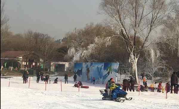 玉淵潭冰雪節(jié) 2020年北京玉淵潭公園冰雪節(jié)攻略