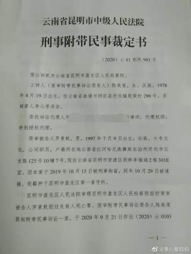 李心草溺亡案維持原判：被告人因過失致人死亡罪獲刑1年6個月