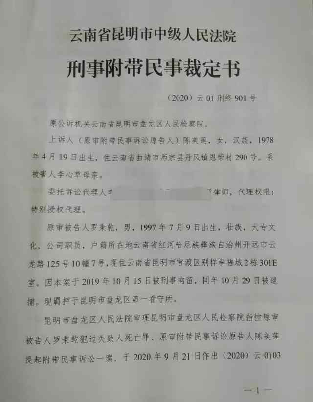 李心草溺亡案維持原判：被告人因過(guò)失致人死亡罪獲刑1年6個(gè)月